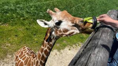 Binder_park_zoo