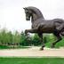 Michigan_grand_rapids_frederik-meijer_gardens_horse